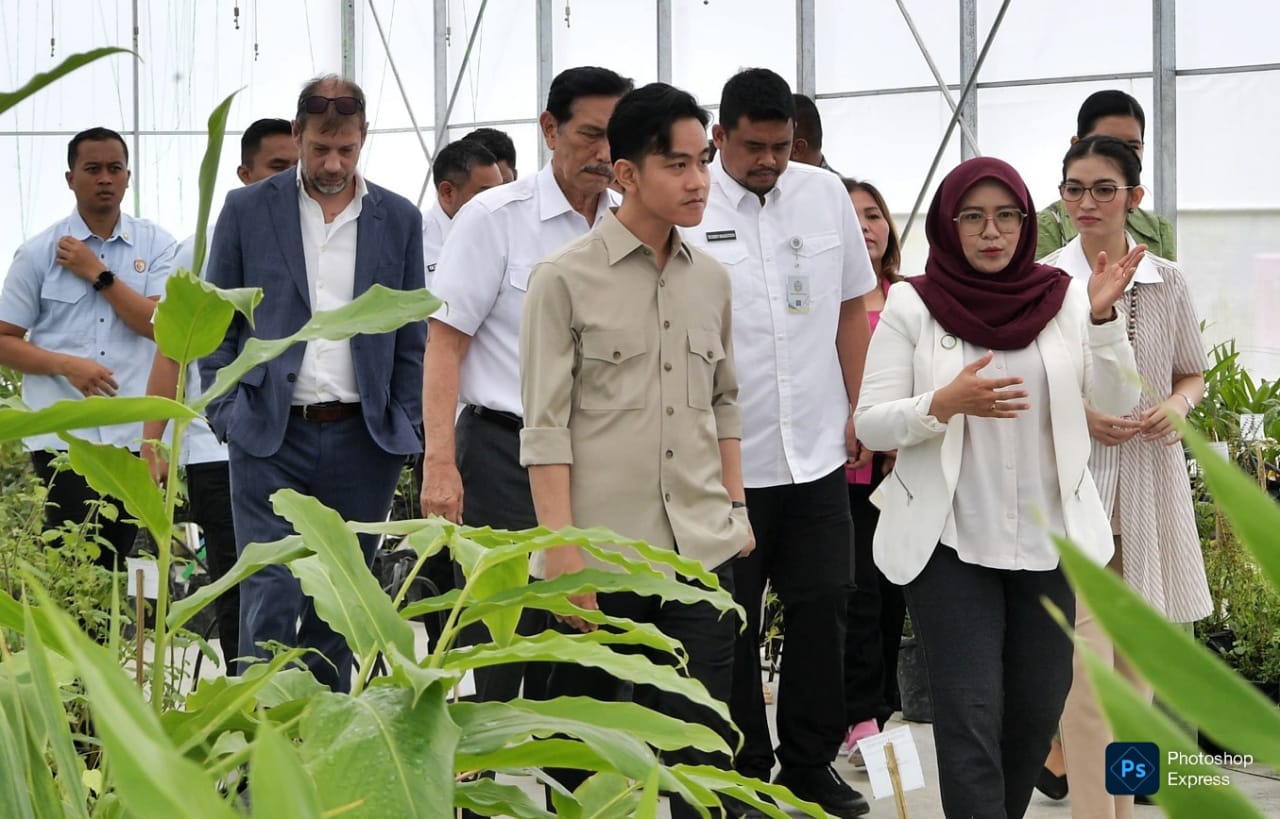 Bobby dan Kahiyang Ayu mendampingi Wapres Republik Indonesia Gibran Rakabuming serta istri Selvi Gibran Rakabuming meninjau Taman Sains Teknologi Herbal dan Hortikultura (TSTH2) di Kecamatan Pollung, Kabupaten Humbang Hasundutan. (Kominfo Sumut Dok)
